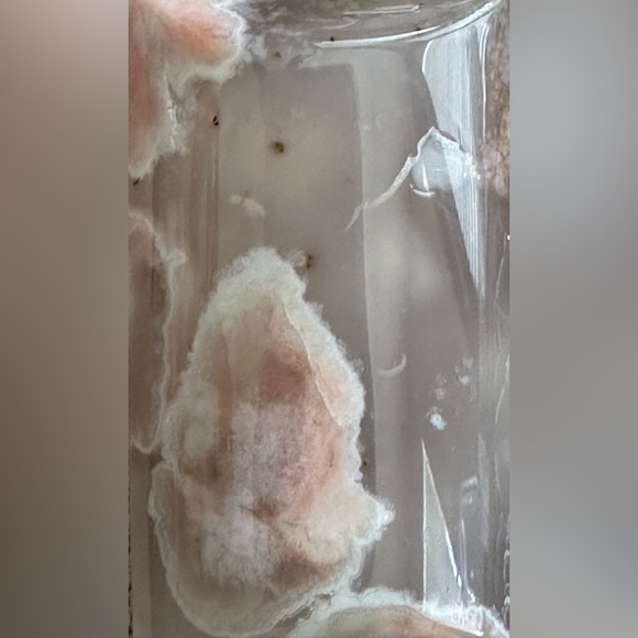 24 inch Mixed bead necklace NWOT - Picture 6 of 14